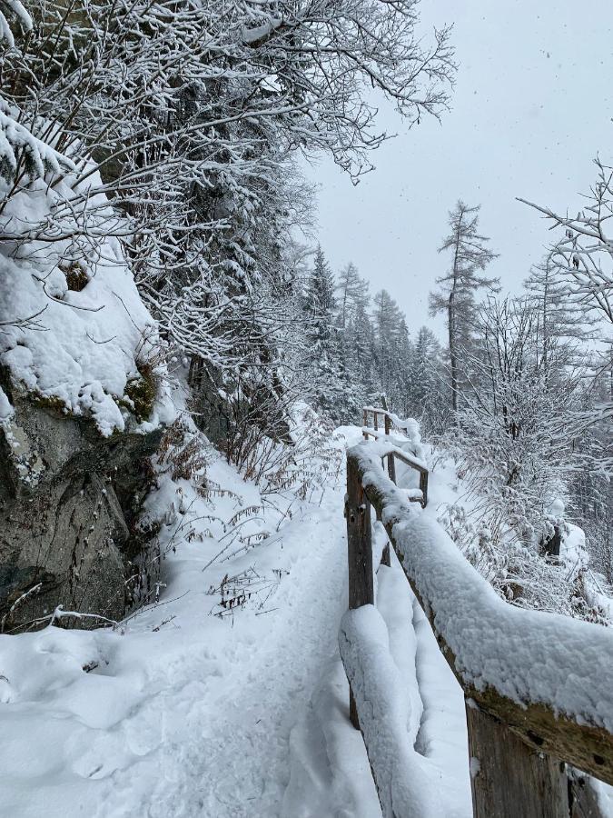 Vila Svistovka Stará Lesná Exteriér fotografie